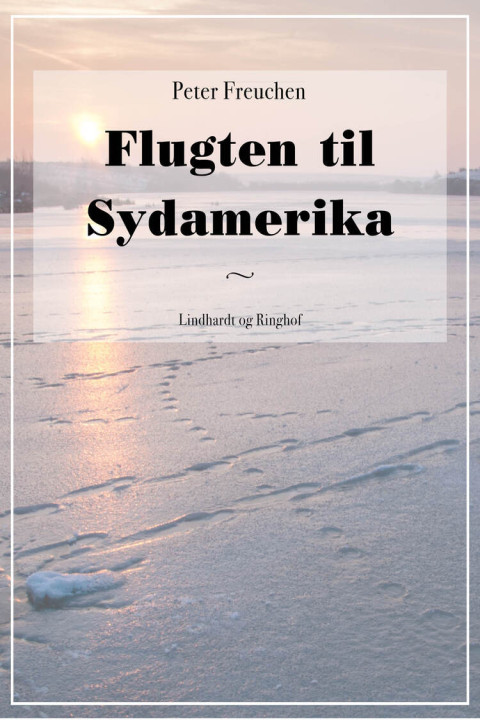 Omslag: Flugten til Sydamerika