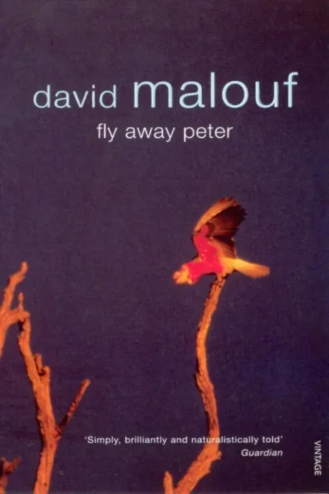 Omslag: Fly Away Peter