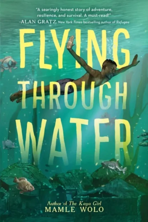 Omslag: Flying Through Water