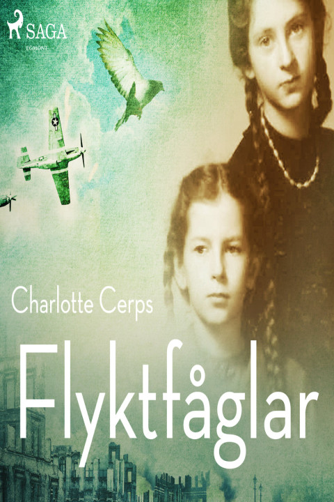 Omslag: Flyktfåglar