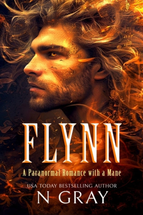 Omslag: Flynn