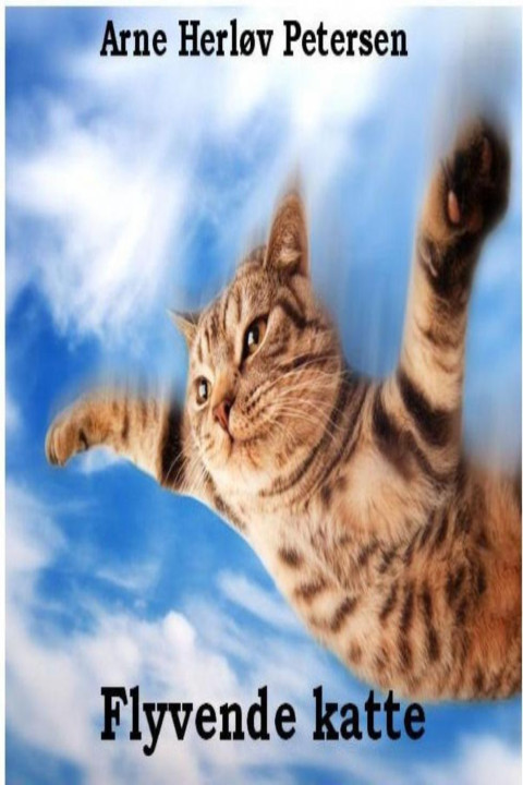 Omslag: Flyvende katte