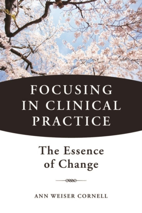 Omslag: Focusing in Clinical Practice