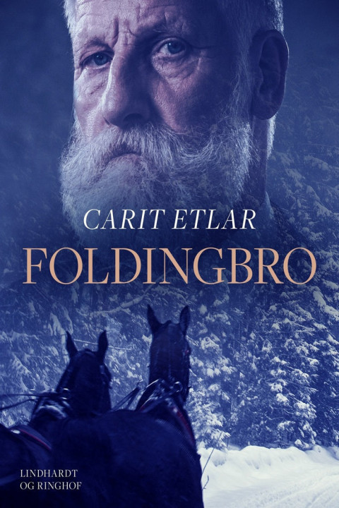Omslag: Foldingbro