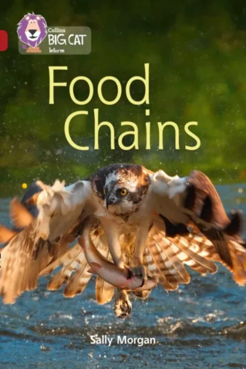 Omslag: Food Chains - Band 14 Ruby
