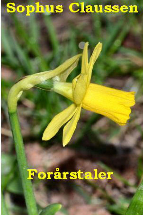 Omslag: Forårstaler