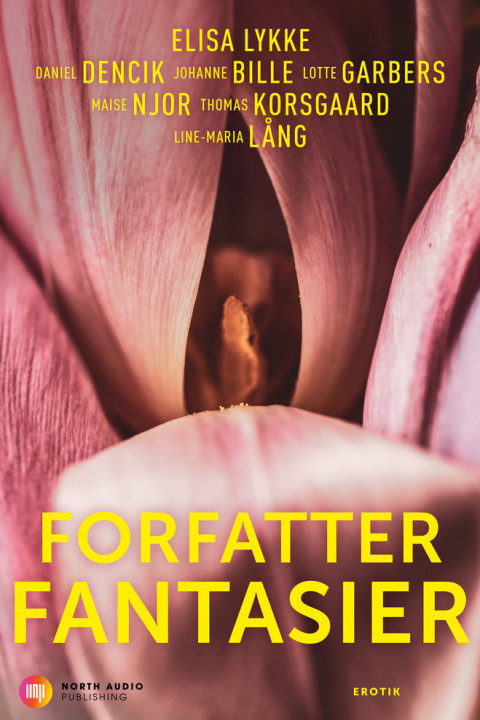 Omslag: Forfatterfantasier