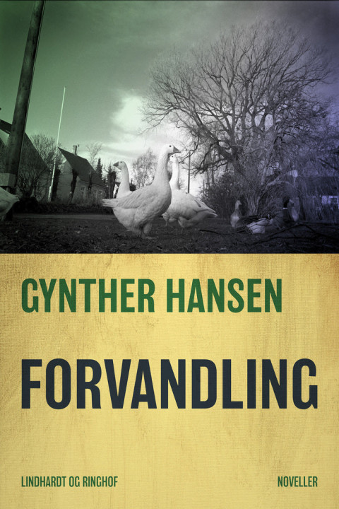 Omslag: Forvandling