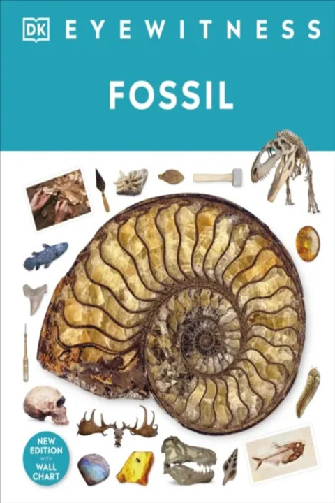 Omslag: Fossil