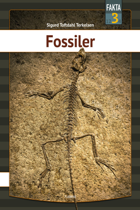 Omslag: Fossiler