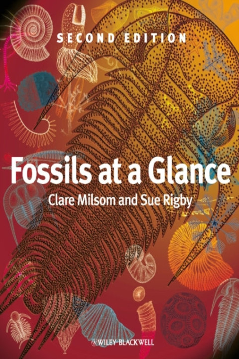 Omslag: Fossils at a Glance