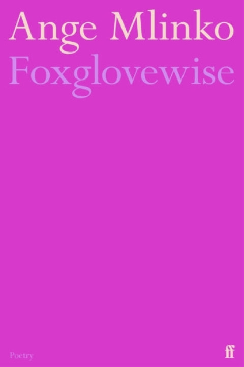 Omslag: Foxglovewise