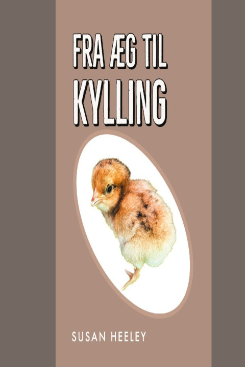 Omslag: Fra æg til kylling