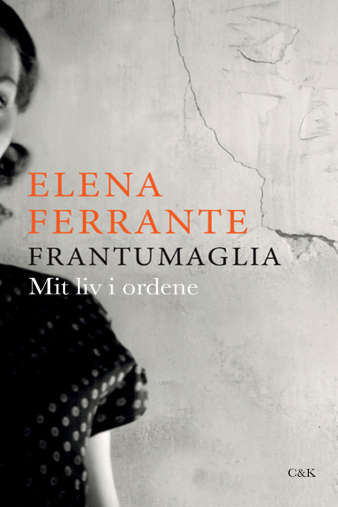 Omslag: Frantumaglia
