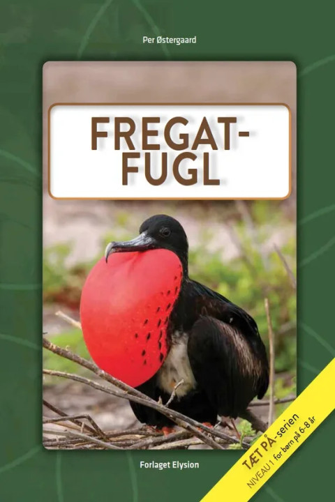 Omslag: Fregatfugl