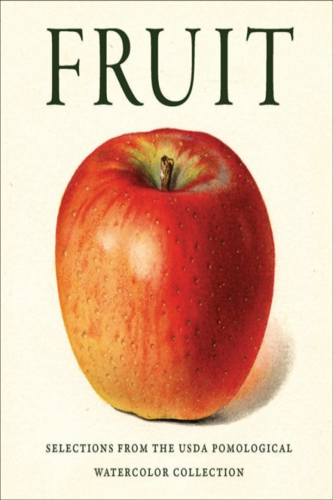 Omslag: Fruit