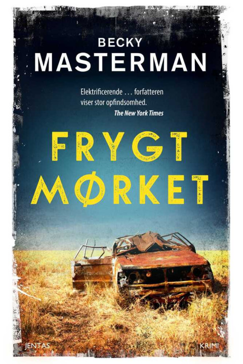 Omslag: Frygt mørket