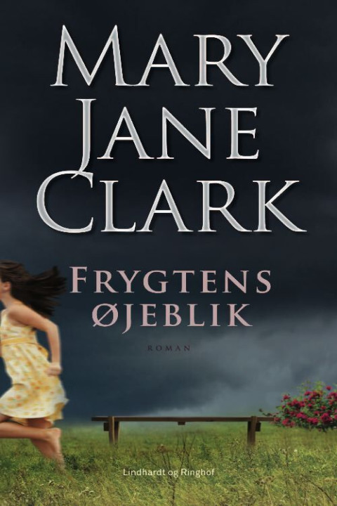 Omslag: Frygtens øjeblik