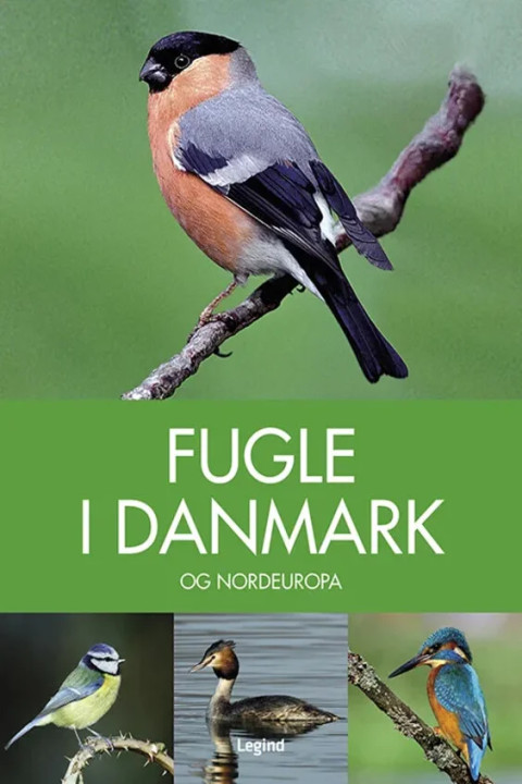 Omslag: Fugle i Danmark - og Nordeuropa