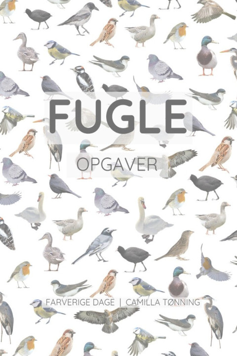 Omslag: Fugle - opgavebogen