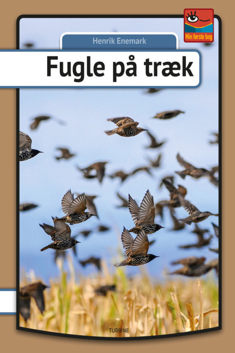 Omslag: Fugle på træk