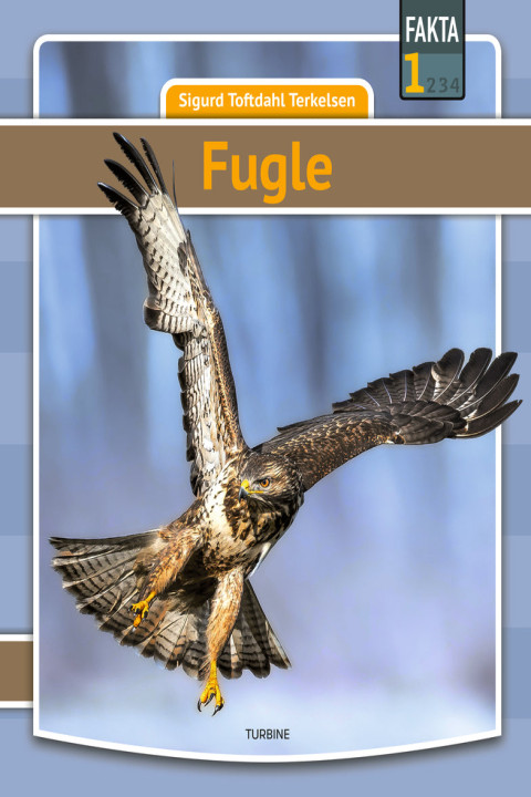 Omslag: Fugle