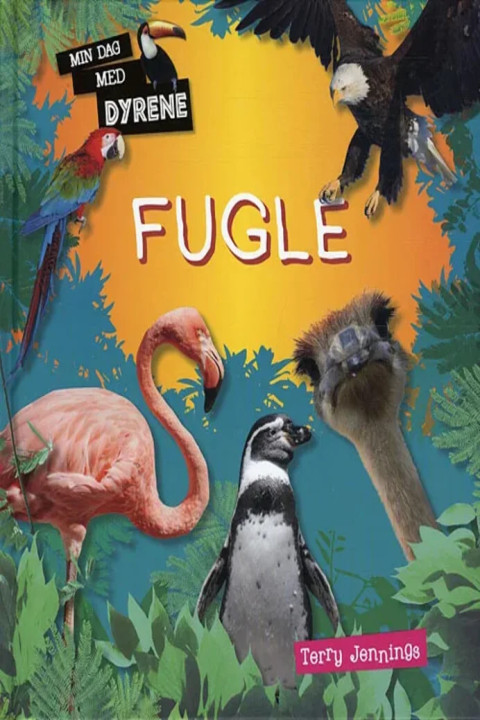 Omslag: Fugle