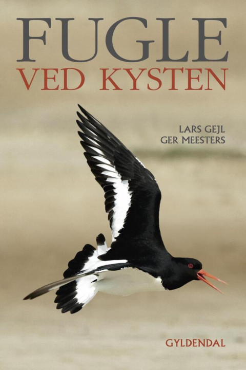 Omslag: Fugle ved kysten