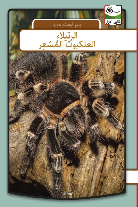 Omslag: Fugleedderkop - arabisk