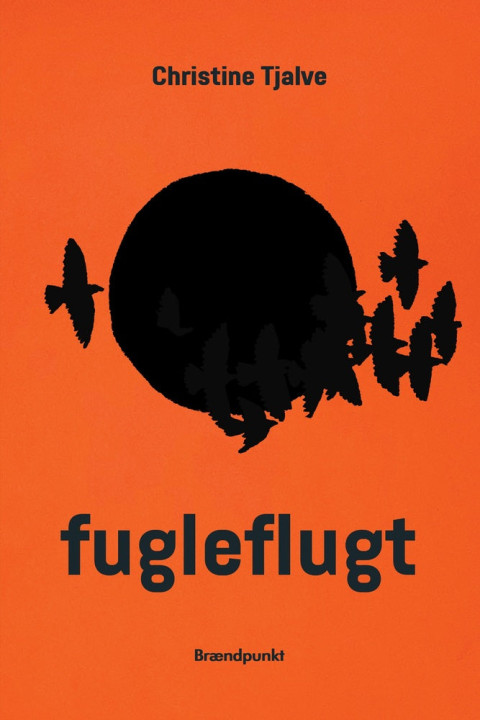 Omslag: fugleflugt