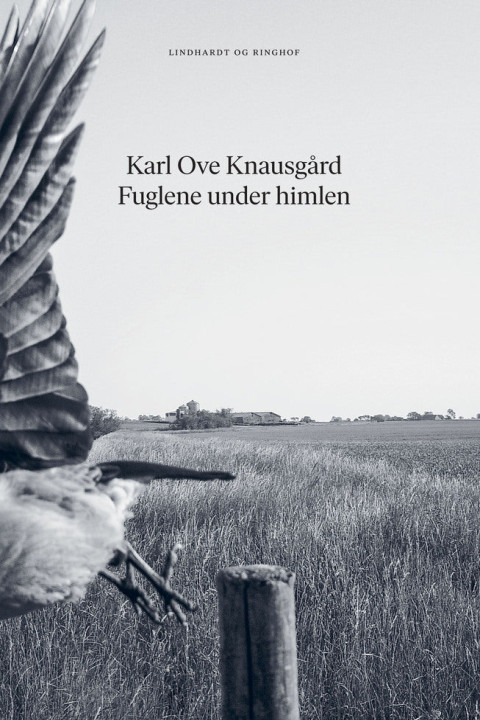 Omslag: Fuglene under himlen