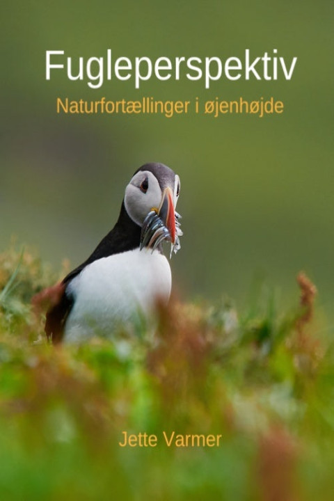 Omslag: Fugleperspektiv