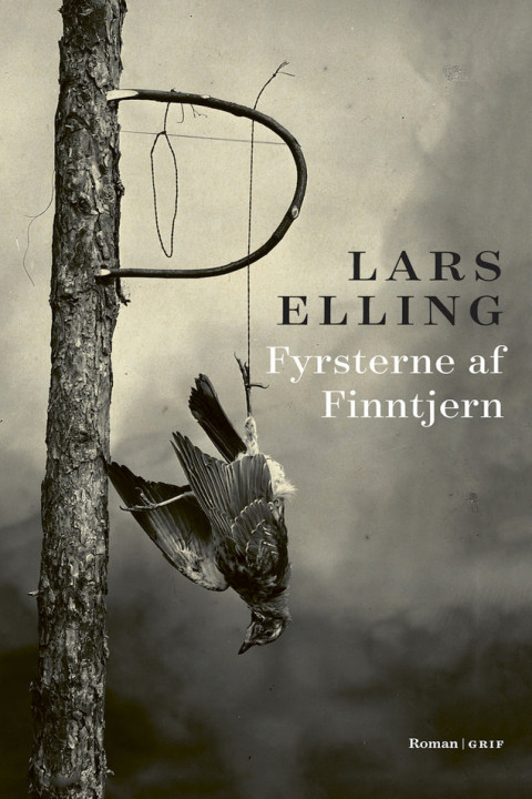Omslag: Fyrsterne af Finntjern