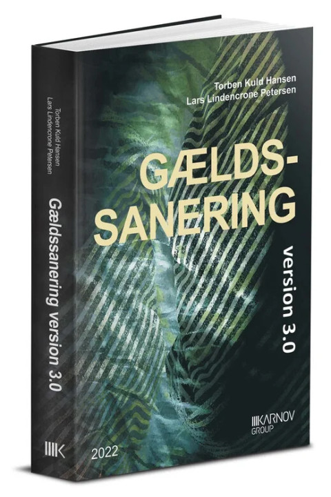 Omslag: Gældssanering version 3.0