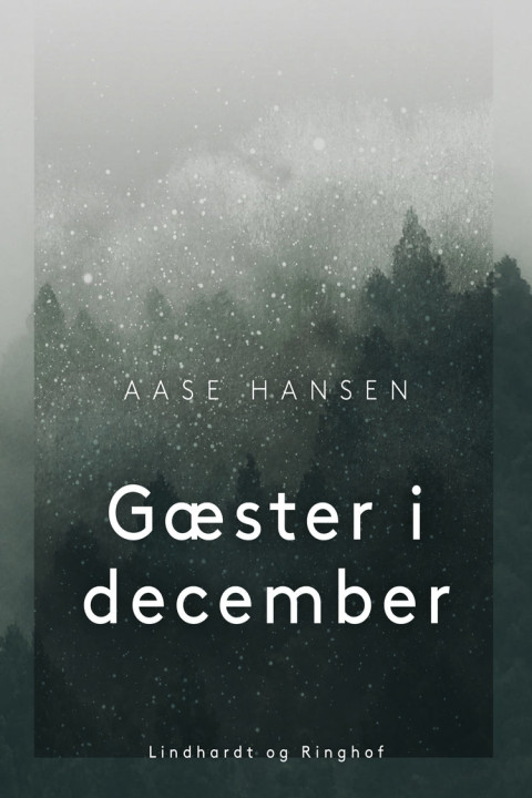 Omslag: Gæster i december