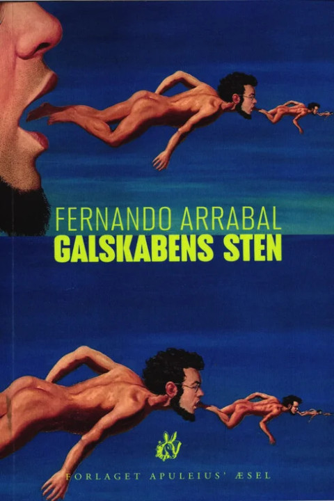 Omslag: Galskabens sten