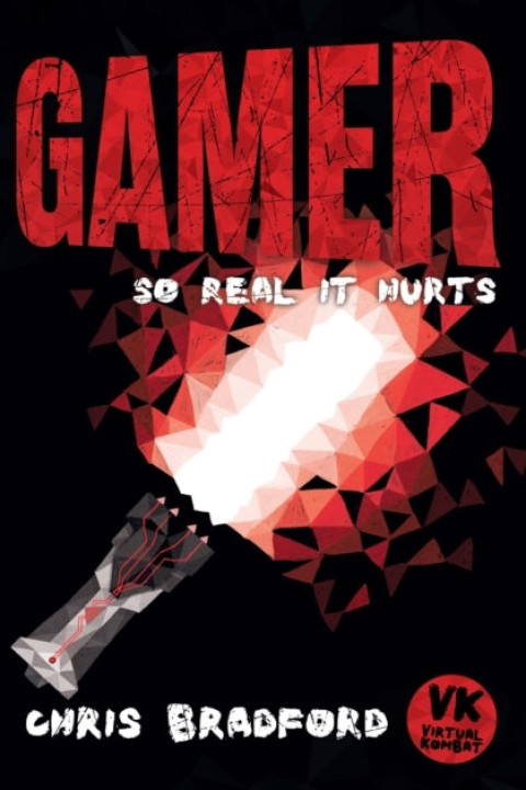 Omslag: Gamer