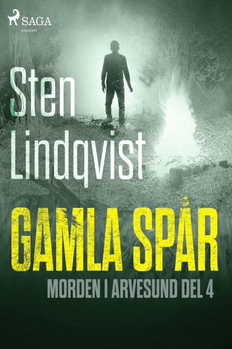Omslag: Gamla spår