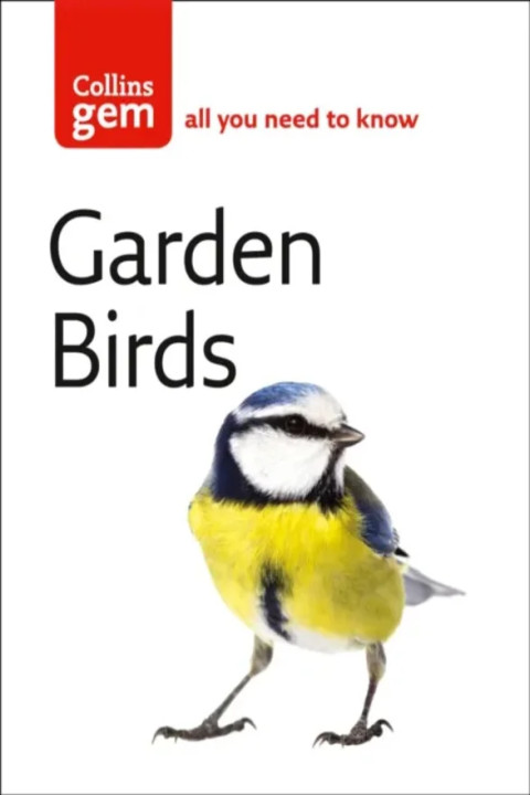 Omslag: Garden Birds