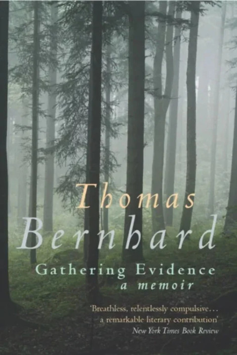 Omslag: Gathering Evidence
