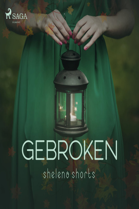Omslag: Gebroken