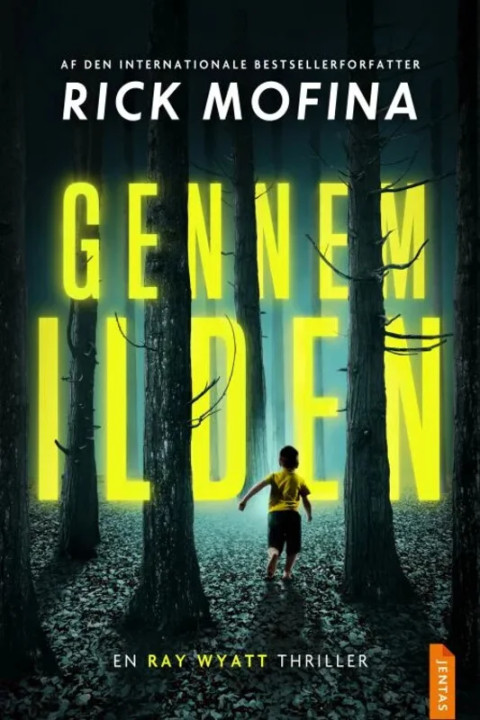 Omslag: Gennem Ilden