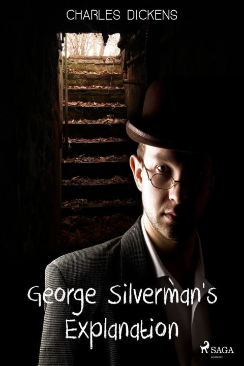 Omslag: George Silverman s Explanation