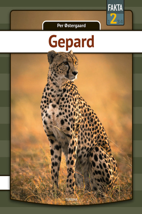 Omslag: Gepard
