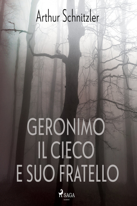 Omslag: Geronimo il cieco e suo fratello