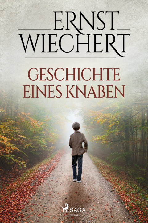 Omslag: Geschichte eines Knaben