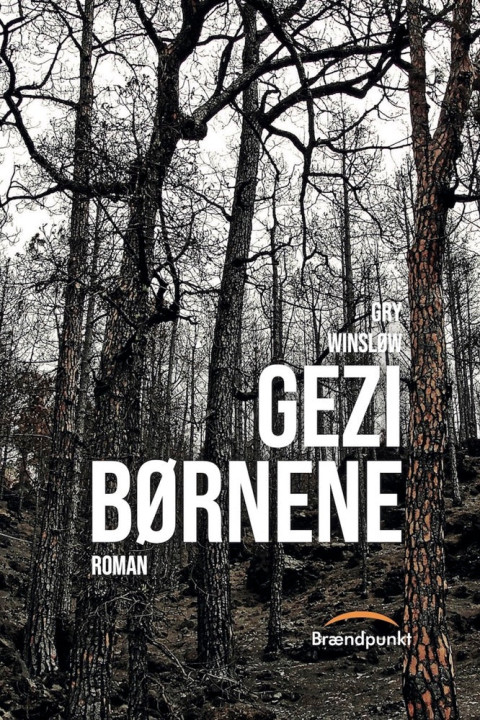 Omslag: Gezi børnene