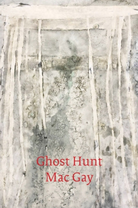 Omslag: Ghost Hunt