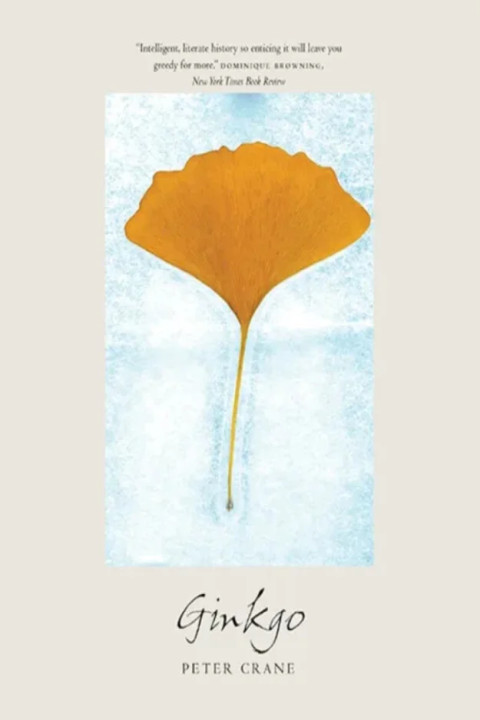 Omslag: Ginkgo - The Tree That Time Forgot