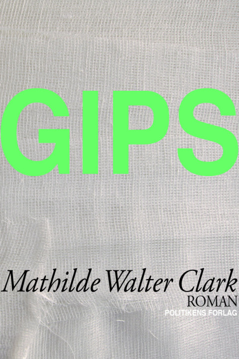 Omslag: Gips